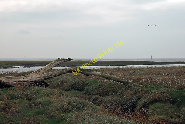 Photo 6"x4" Ribble Salt Marsh Saltcotes c2007