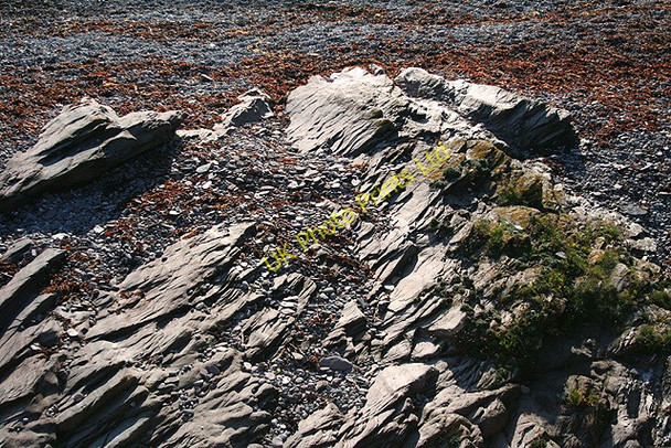 Photo 6"x4" Wembury: beach detail Heybrook Bay c2007