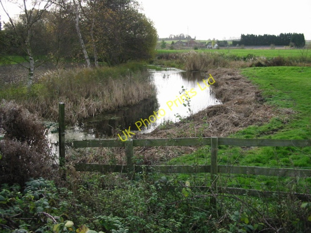 Photo 6"x4" View S along stream from Dam Bridge Wingham c2007