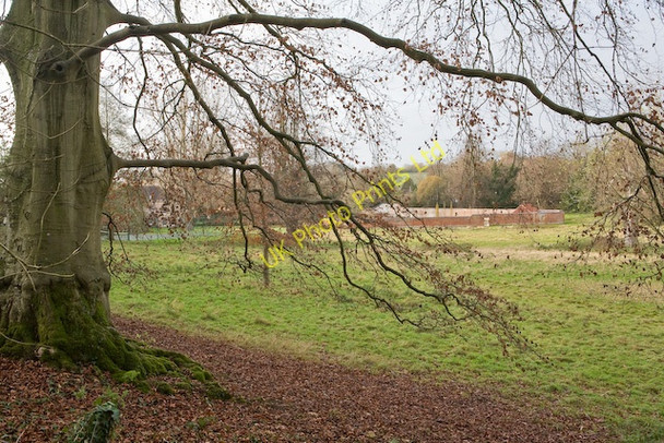 Photo 6"x4" View of walled garden of West Meon House from footpath East End\/SU6424 c2007