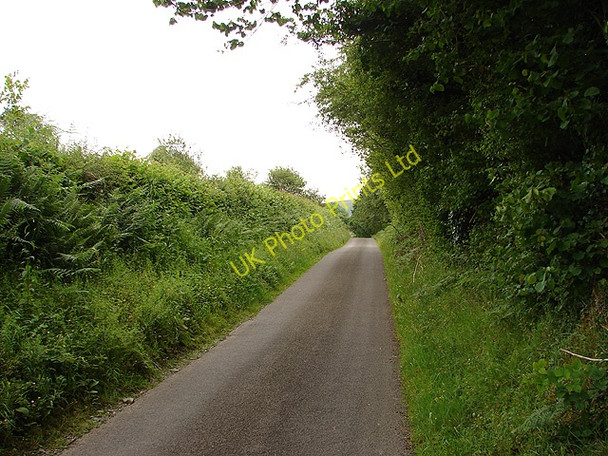 Photo 6"x4" Narrow road near Dolyronnen Tal-y-Wern c2007