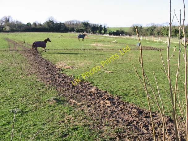 Photo 6"x4" Paddock at the rear of St Augustine's church East Langdon c2007