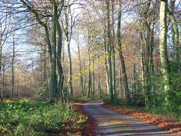 Photo 6"x4" Farm road in Lambridge Wood Broadplat c2007
