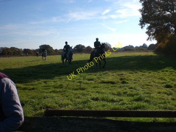 Photo 6"x4" Horses Approach Whitehall\/TQ1321 c2007