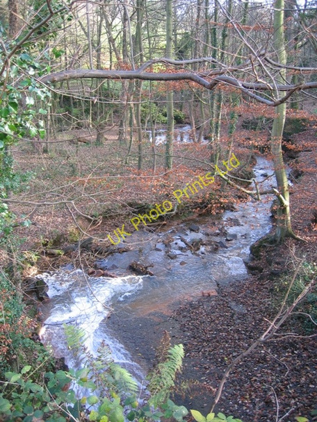 Photo 6"x4" Broughton Brook in Hawarden Park Hararden\/Penarl\u00e2g c2007