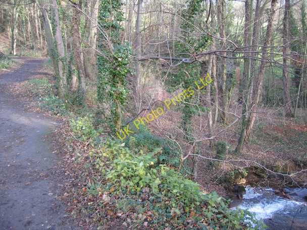 Photo 6"x4" Footpath in Hawarden Park and the corn mill ruins Hararden\/Penarl\u00e2g c2007