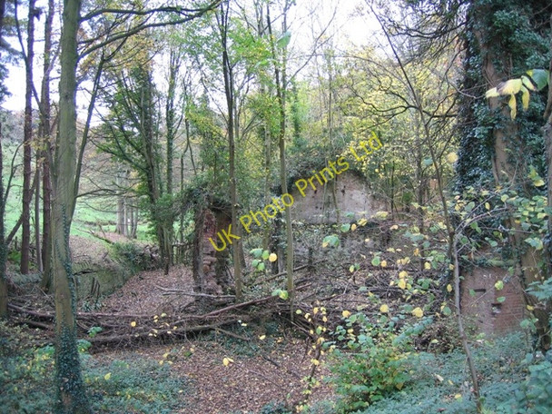 Photo 6"x4" Ruined corn mill in Hawarden Park Hararden\/Penarl\u00e2g c2007