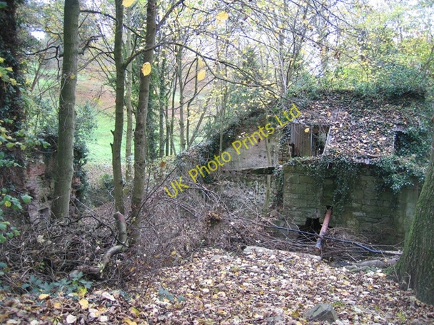Photo 6"x4" Ruined corn mill in Hawarden Park Hararden\/Penarl\u00e2g c2007 P2