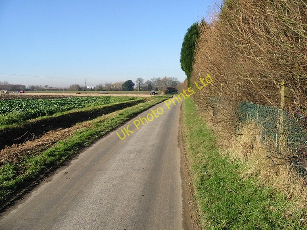 Photo 6"x4" Looking NW along small lane near Europa Nurseries Ash\/TR2958 c2007