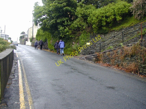 Photo 6"x4" Old Laxey Hill, South Cape Old Laxey c2007 P1