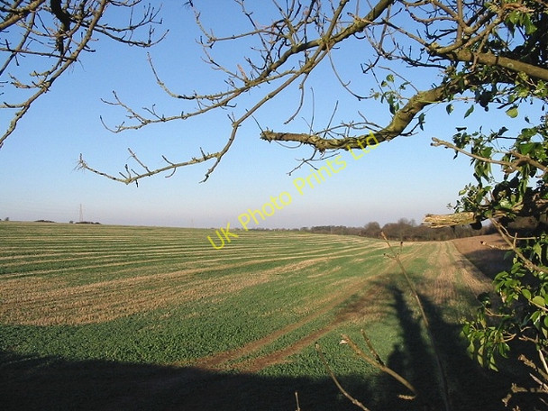 Photo 6"x4" Fields to the N of Haynes Farm Golgotha c2007