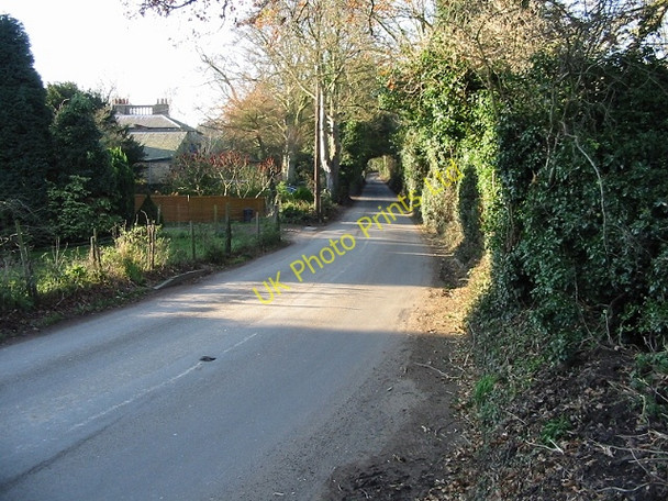 Photo 6"x4" View along Willow Road, Little Mongeham Little Mongeham c2007