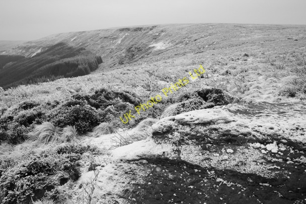 Photo 6"x4" Botton Head Urra c2007