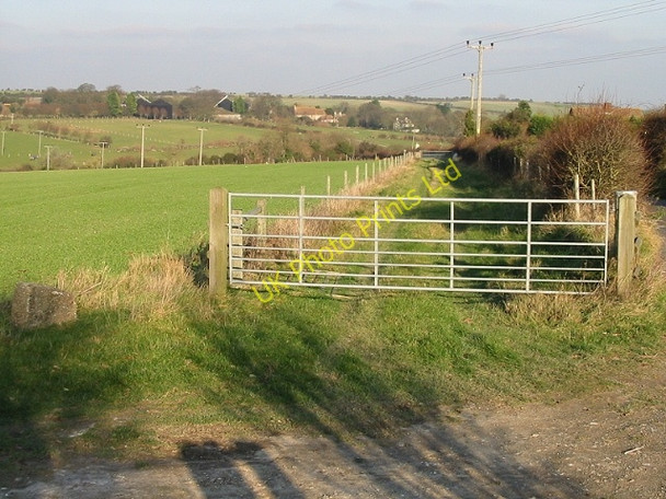 Photo 6"x4" Field boundary, Sutton Down Martin\/TR3347 c2007
