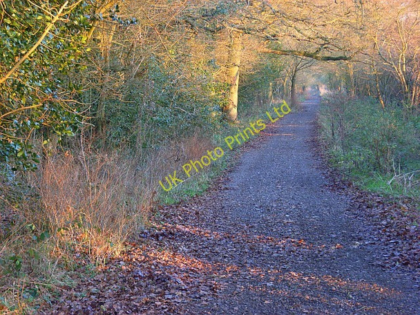 Photo 6"x4" The Devil's Highway Stratfield Saye c2007