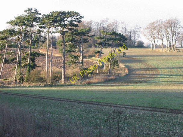 Photo 6"x4" View to Singledge Lane Coldred c2007