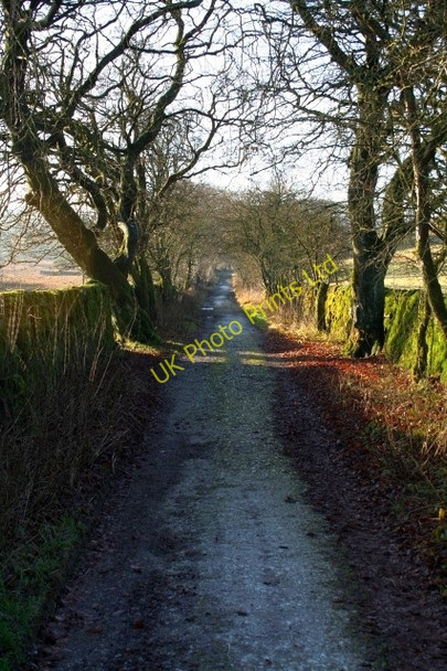 Photo 6"x4" Malham Tarn House Drive Water Houses\/SD8867 c2007