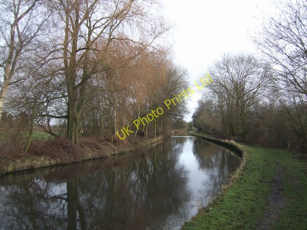 Photo 6"x4" Staffs & Worcs Canal Calf Heath c2007