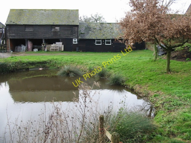 Photo 6"x4" The pond at Bonnington Farm Chillenden c2007