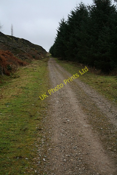 Photo 6"x4" Ingleby Incline (11) Ingleby Greenhow c2007