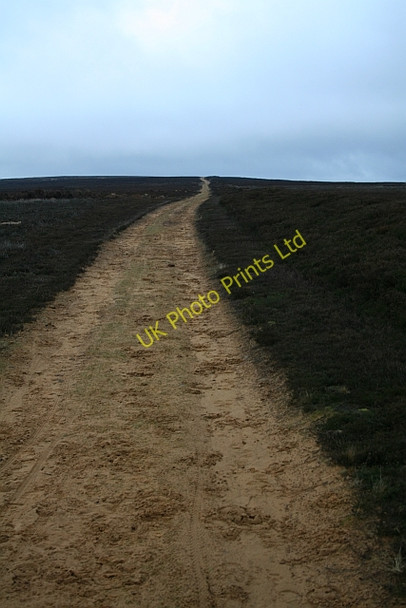 Photo 6"x4" Shooters Track across Urra Moor. Urra c2007
