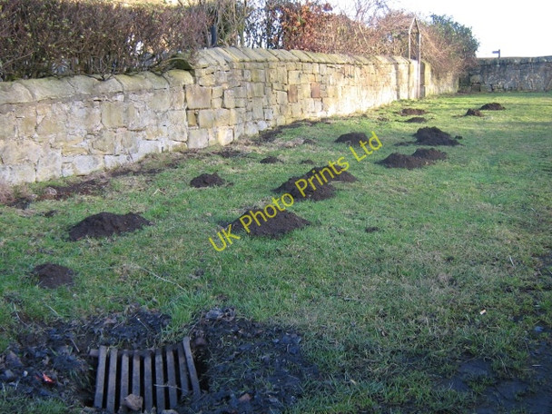 Photo 6"x4" Mole hills Broxfield c2007
