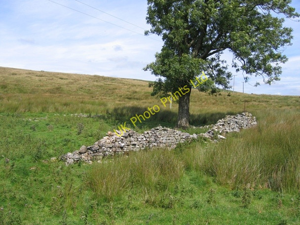 Photo 6"x4" Ruined enclosure at Gearstones Ribble Head\/SD7779 c2007