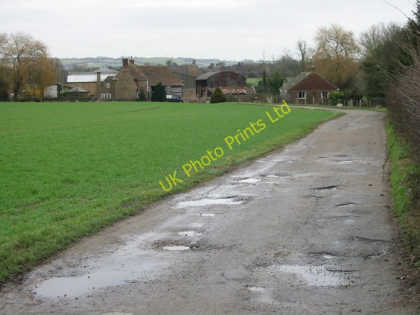 Photo 6"x4" Elm Tree Farm Moorstock c2007