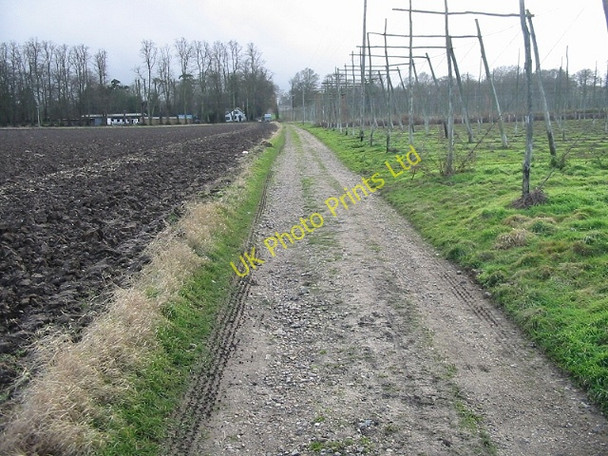 Photo 6"x4" Looking S along footpath towards The Shave and on to Lenhall Farm Bishopsbourne c2007