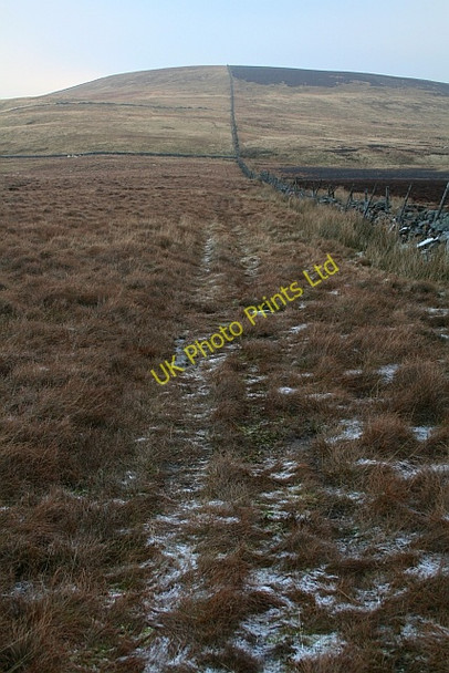 Photo 6"x4" Gammersgill Moor Walden c2007