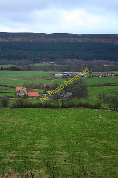 Photo 6"x4" Greenhow Botton Urra c2007