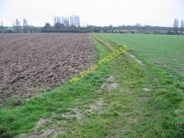 Photo 6"x4" Bridleway to Little Knell Farm Hoaden c2008