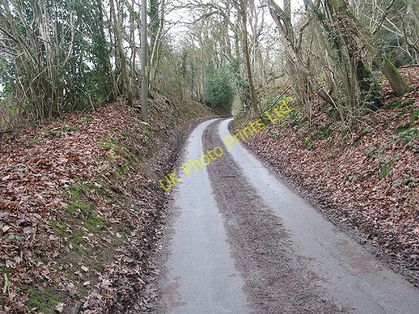 Photo 6"x4" Country road near Fairoaks Farm Hollybush\/SO7636 c2008