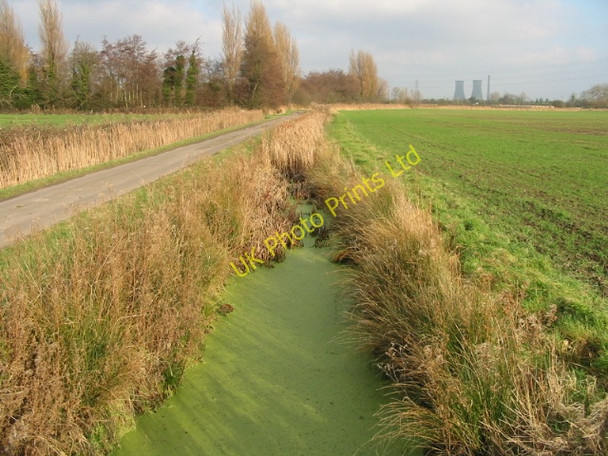 Photo 6"x4" View NE along ditch and Cooper Street Grove across Goshall Valley Sandwich c2008