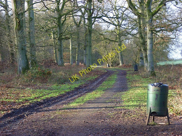 Photo 6"x4" Track in Bottom Coppice Froxfield\/SU2968 c2007