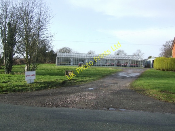 Photo 6"x4" Hodges Nursery Castlecroft c2008
