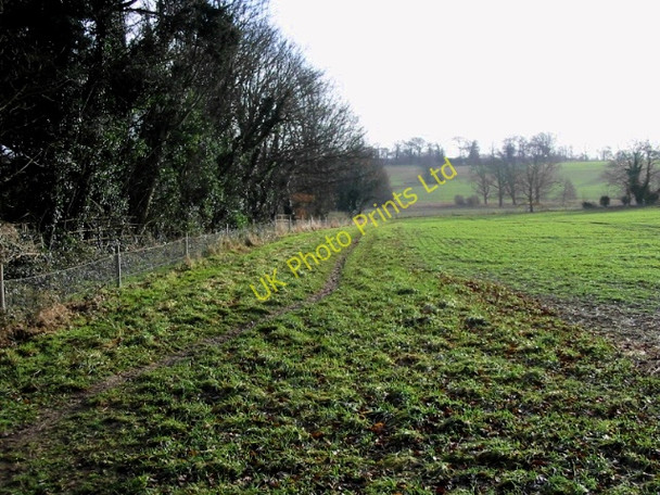 Photo 6"x4" Field boundary Eythorne c2008