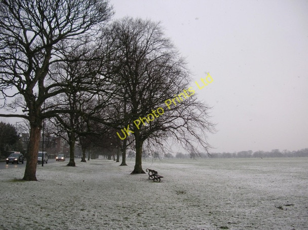 Photo 6"x4" Stray next to York Place Harrogate c2008
