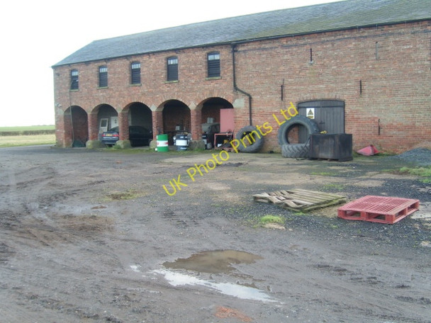 Photo 6"x4" Westfield Farm Pilham c2008