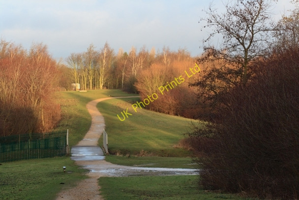 Photo 6"x4" Path Around Mill Lake Hucknall c2008