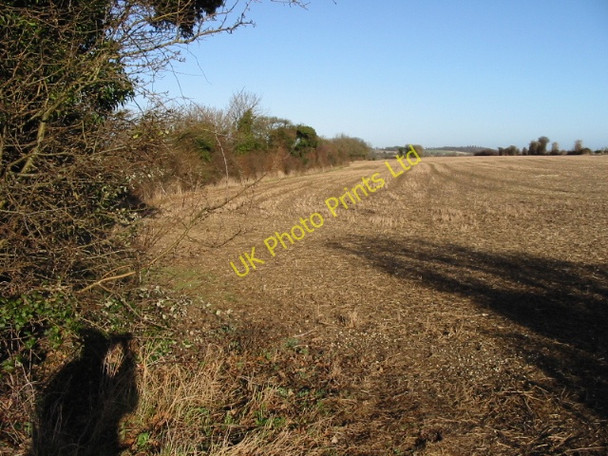 Photo 6"x4" Field boundary along the road to Barfrestone Barfrestone c2008