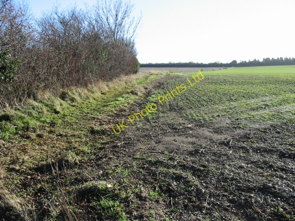 Photo 6"x4" Bridleway to Golgotha Barfrestone c2008