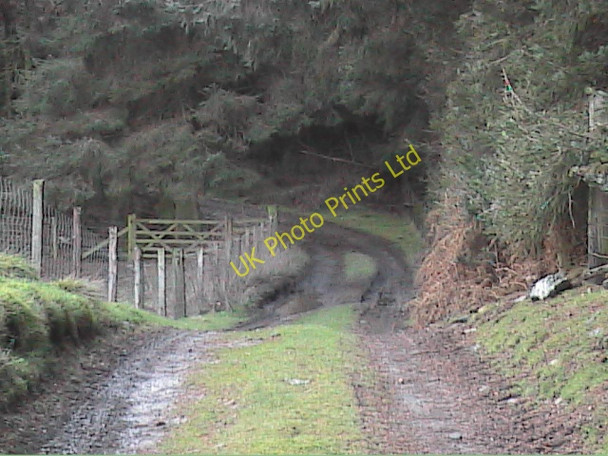 Photo 6"x4" Along the track again Bryn-newydd c2008