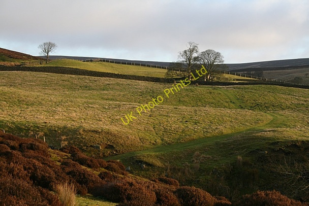 Photo 6"x4" Agill House Farmland Howgill\/SE0659 c2008
