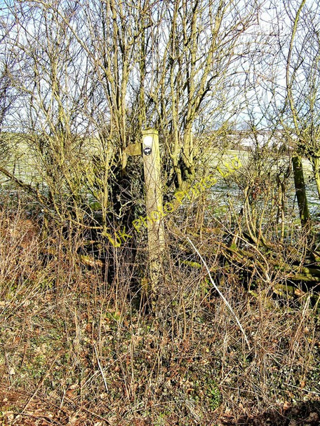 Photo 6"x4" Waymarker post on Jack Mytton Way Blackford\/SO5982 c2008