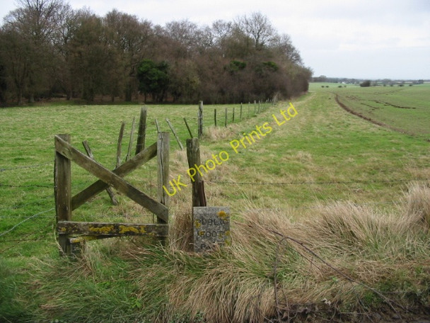 Photo 6"x4" Footpath to Ashley Ashley\/TR3048 c2008