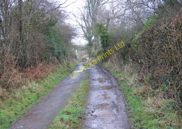 Photo 6"x4" Bridleway Past Rachfynydd Llanddew c2008