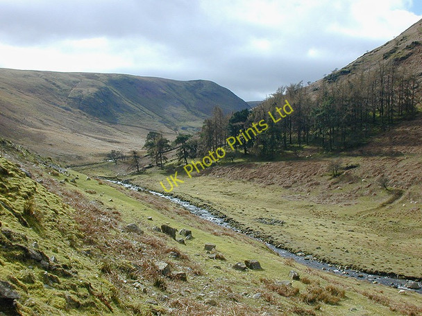 Photo 6"x4" Valley of the Rhiwnant Rhiwnant\/SN8961 c2000