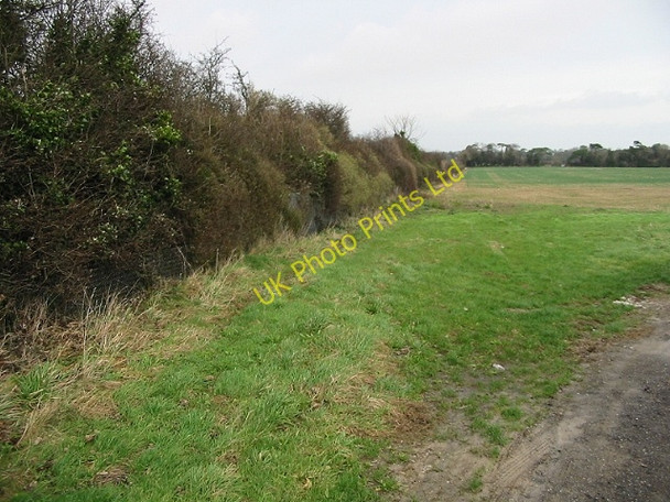 Photo 6"x4" Hedgerow along railway cutting Ringwould c2008