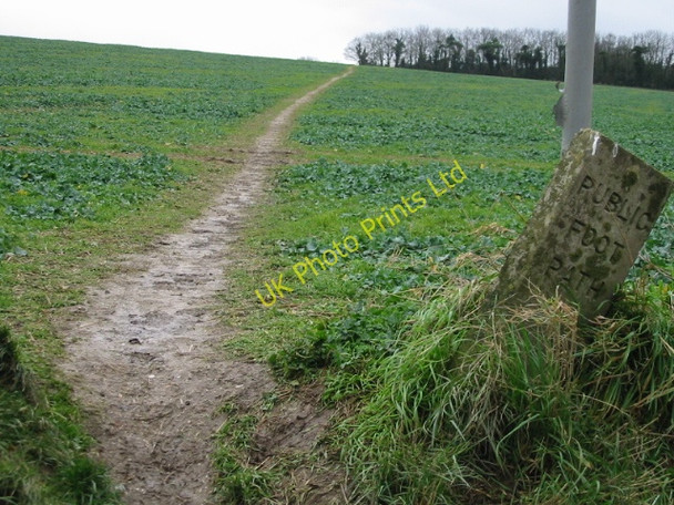 Photo 6"x4" Footpath to Ringwould from the Ripple Road Ringwould c2008